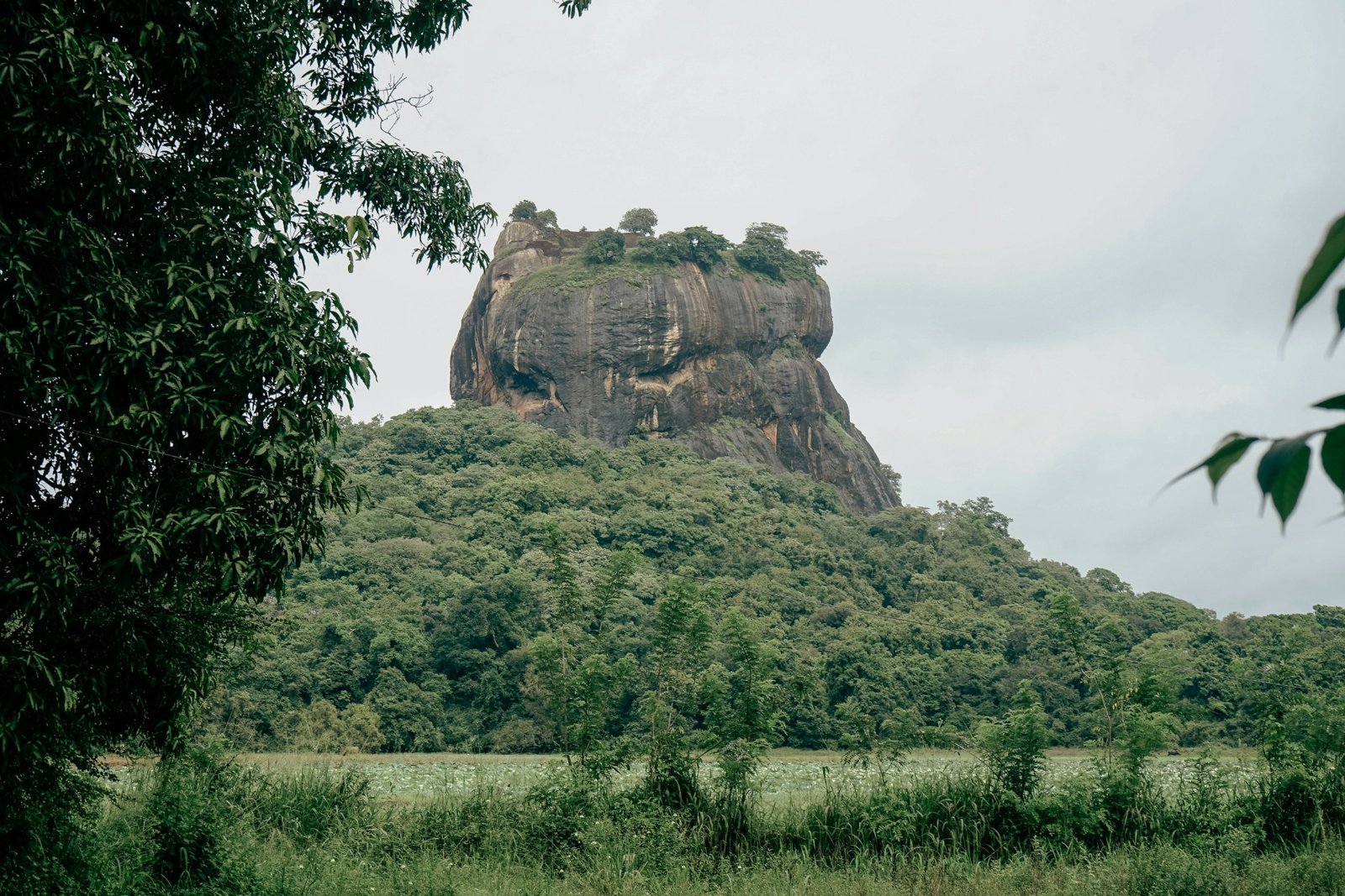 Sharp Island Lodge at Lake Bunyonyi
